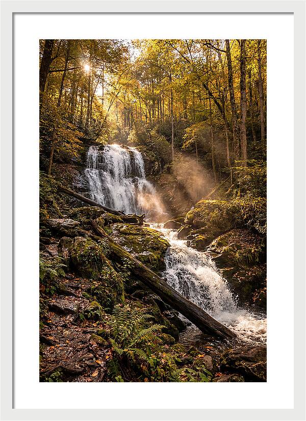 Anna Ruby Falls Serenity