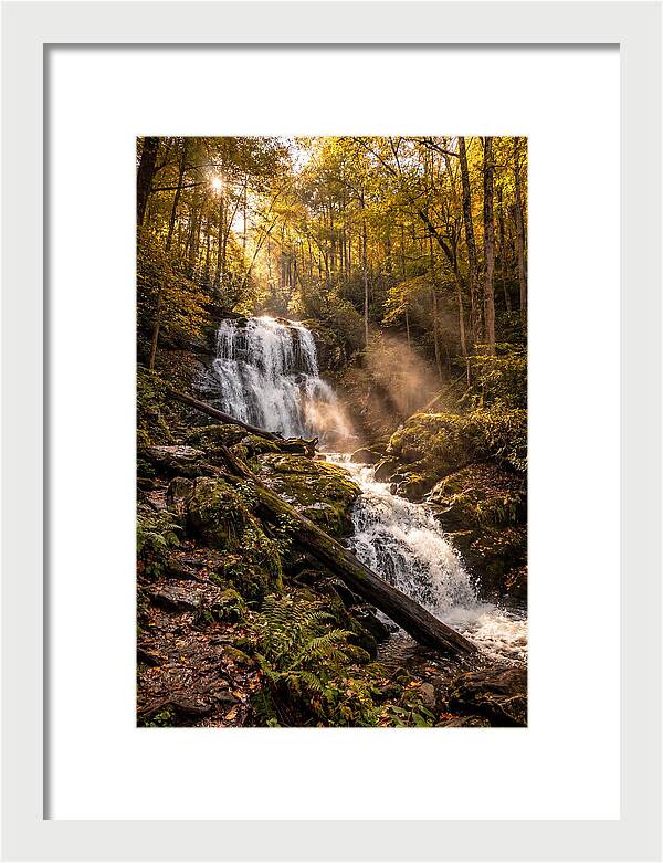 Anna Ruby Falls Serenity