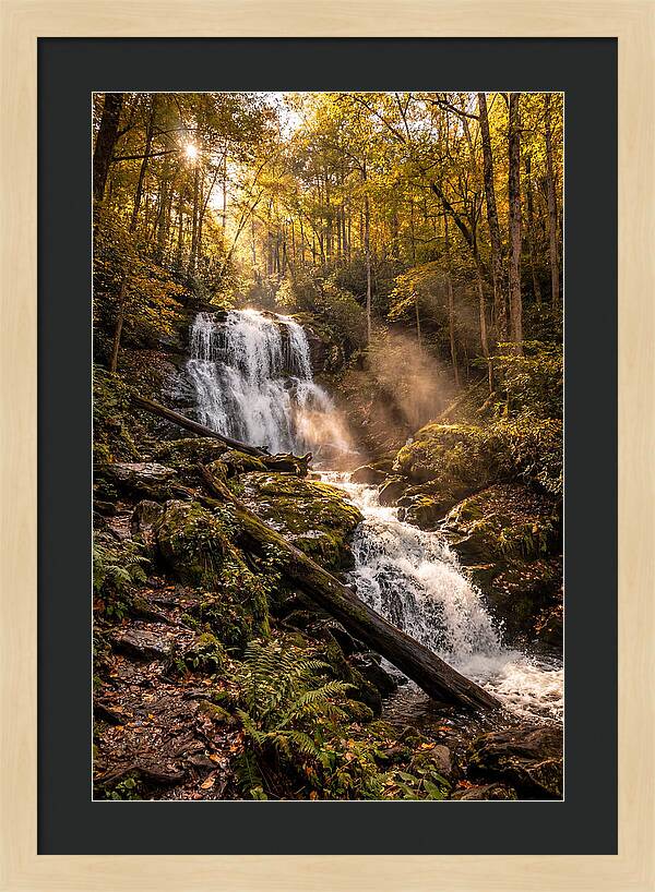 Anna Ruby Falls Serenity