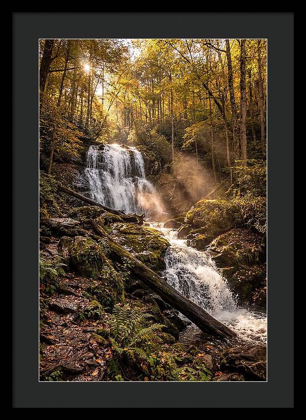 Anna Ruby Falls Serenity