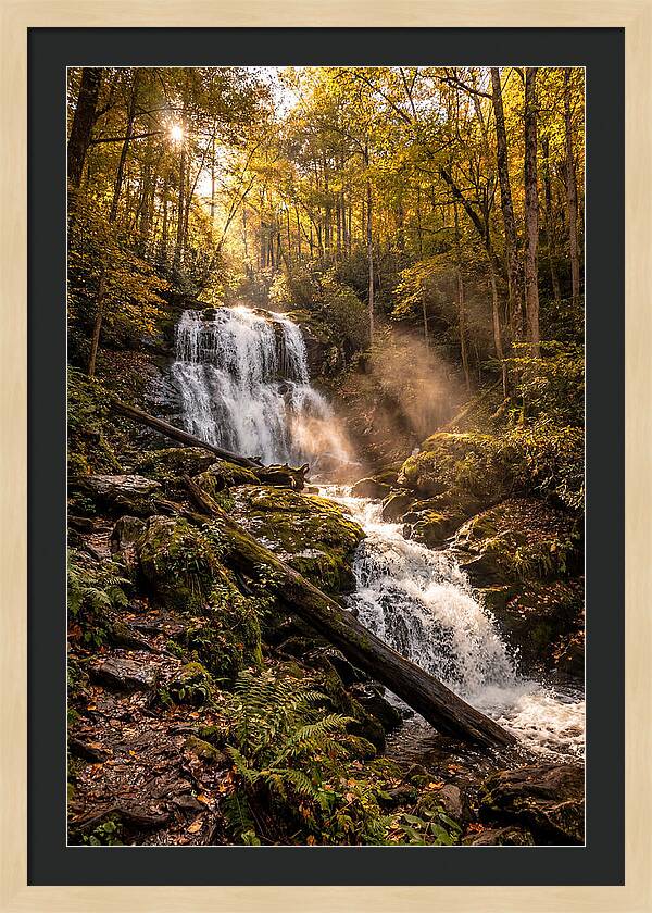 Anna Ruby Falls Serenity