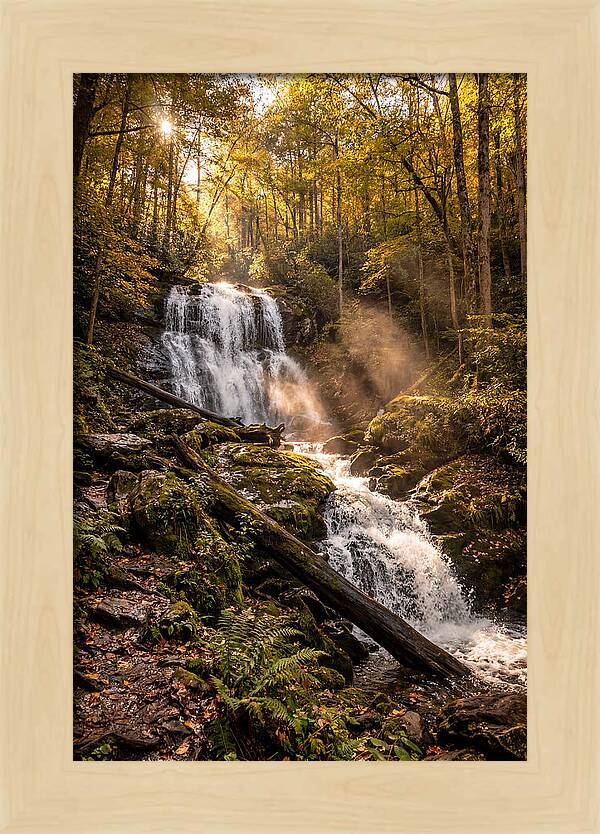 Anna Ruby Falls Serenity
