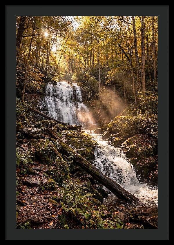 Anna Ruby Falls Serenity
