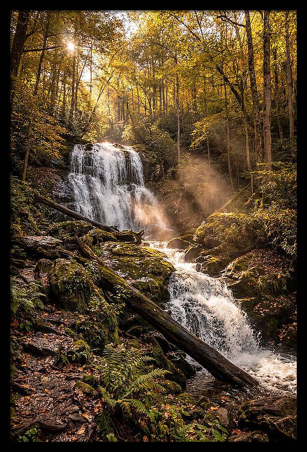 Anna Ruby Falls Serenity