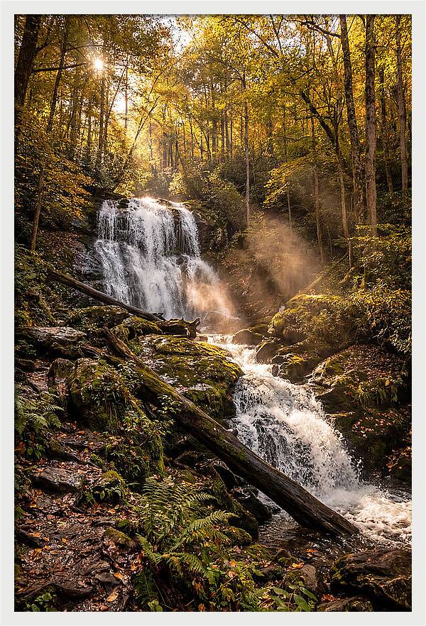 Anna Ruby Falls Serenity