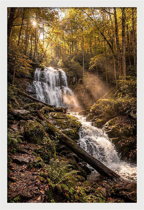 Anna Ruby Falls Serenity