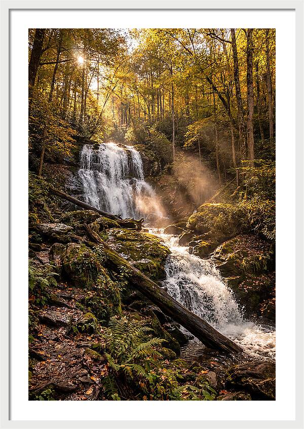 Anna Ruby Falls Serenity