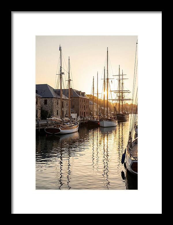 Annapolis Harbor Tranquility