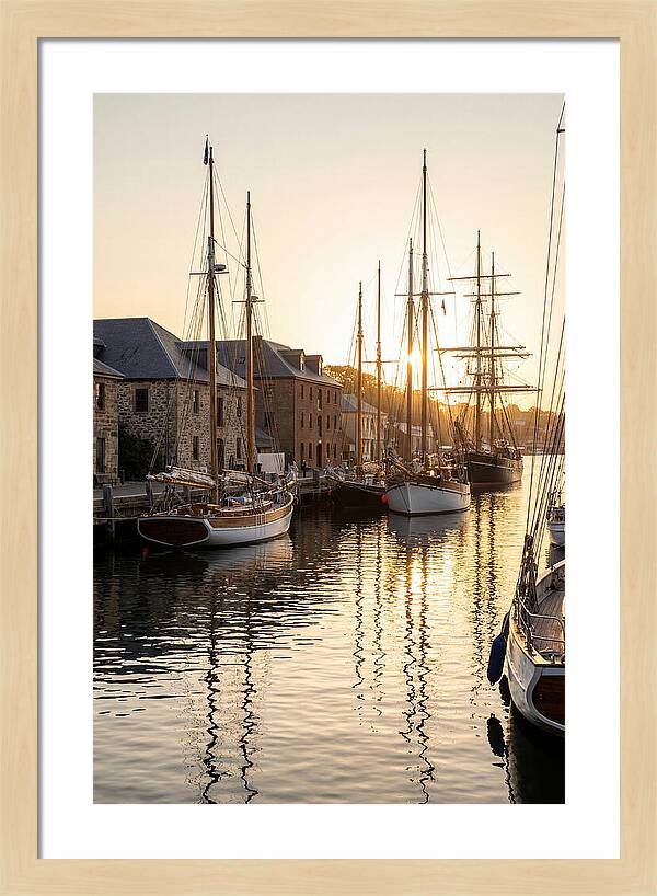 Annapolis Harbor Tranquility
