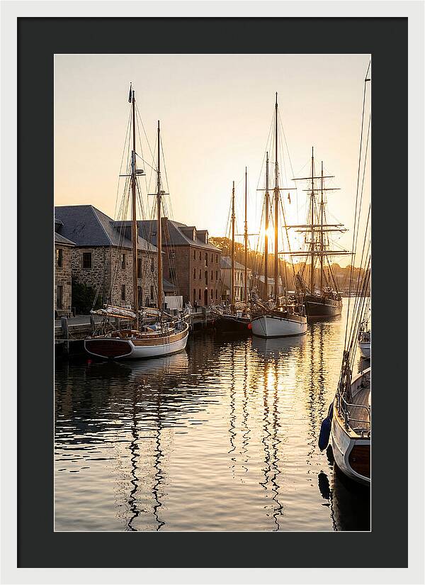 Annapolis Harbor Tranquility