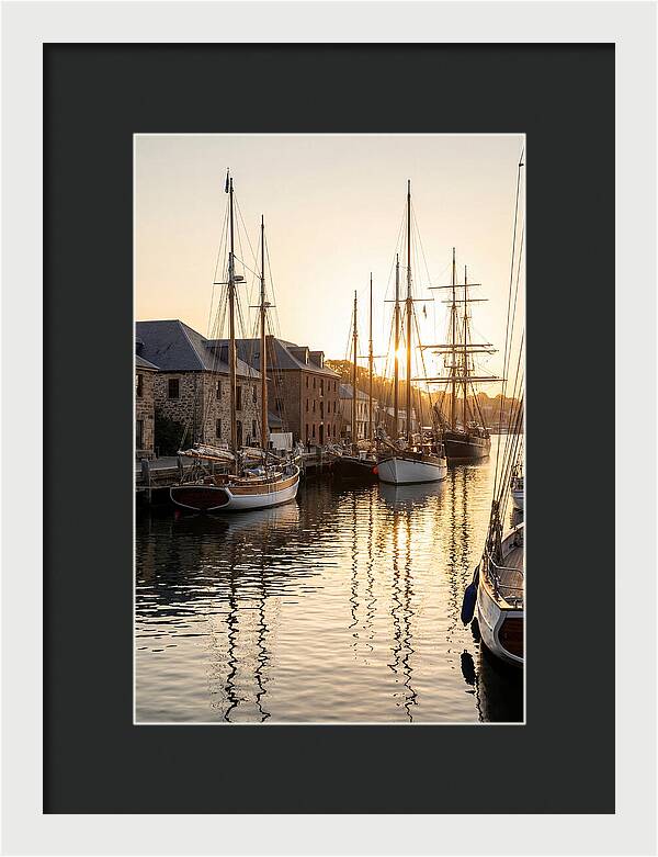 Annapolis Harbor Tranquility