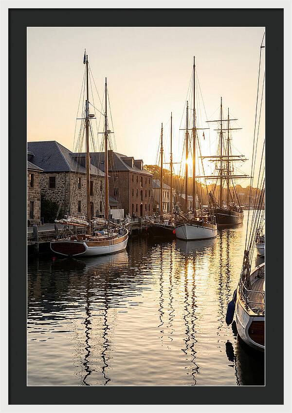 Annapolis Harbor Tranquility
