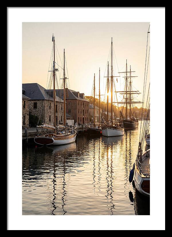 Annapolis Harbor Tranquility