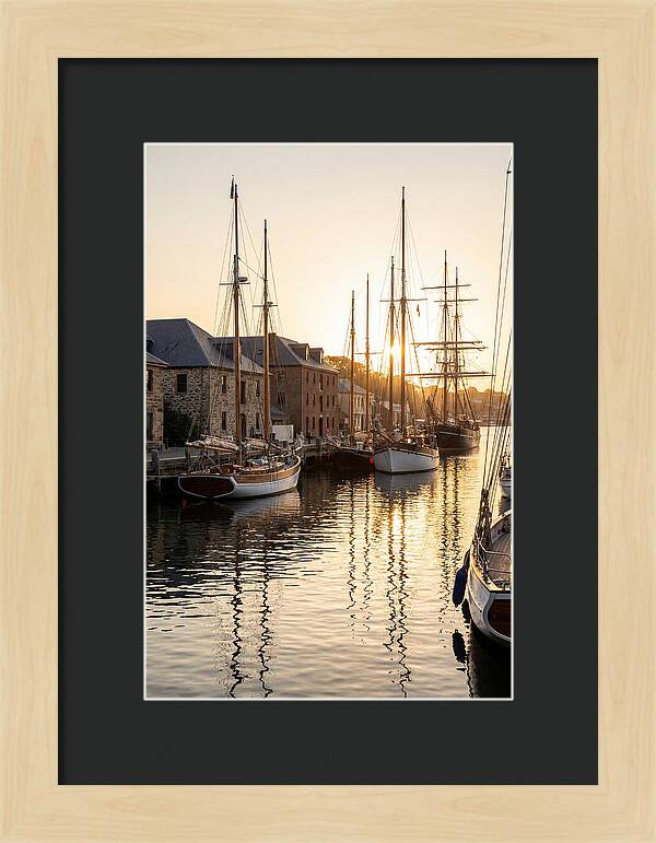 Annapolis Harbor Tranquility