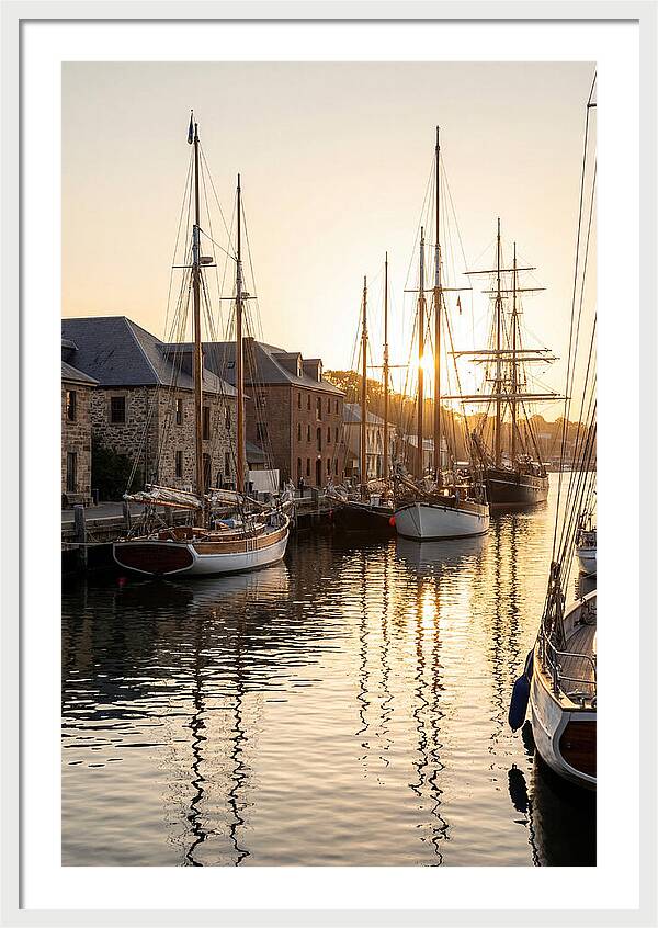 Annapolis Harbor Tranquility