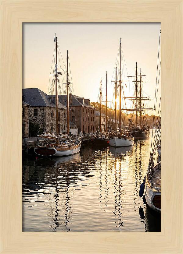 Annapolis Harbor Tranquility