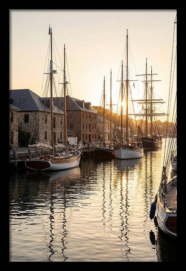 Annapolis Harbor Tranquility