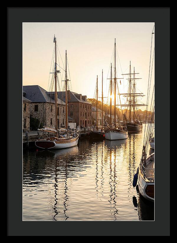 Annapolis Harbor Tranquility
