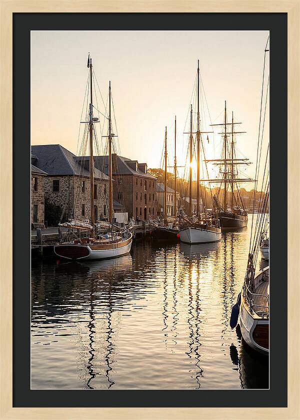 Annapolis Harbor Tranquility