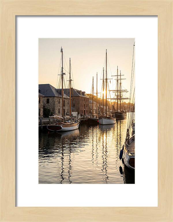 Annapolis Harbor Tranquility