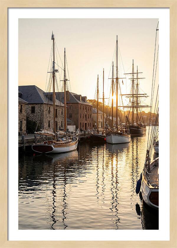 Annapolis Harbor Tranquility