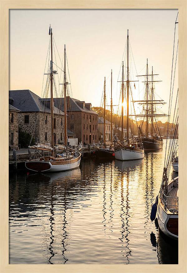 Annapolis Harbor Tranquility