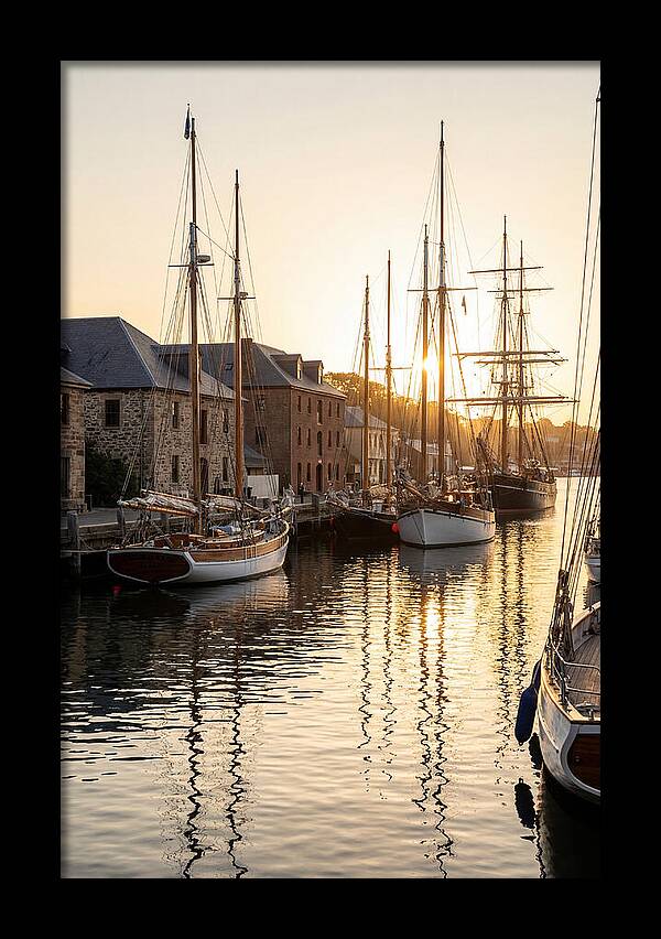Annapolis Harbor Tranquility