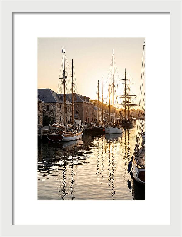 Annapolis Harbor Tranquility
