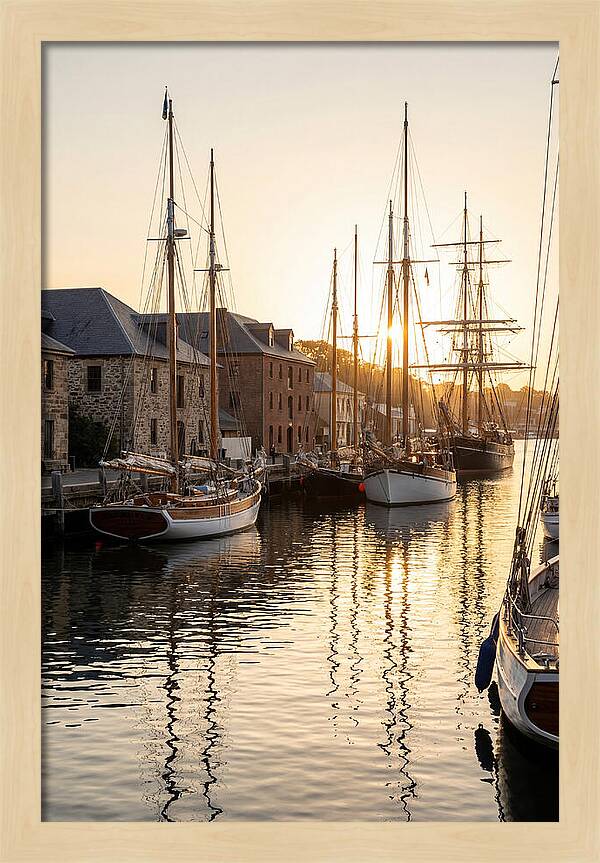 Annapolis Harbor Tranquility