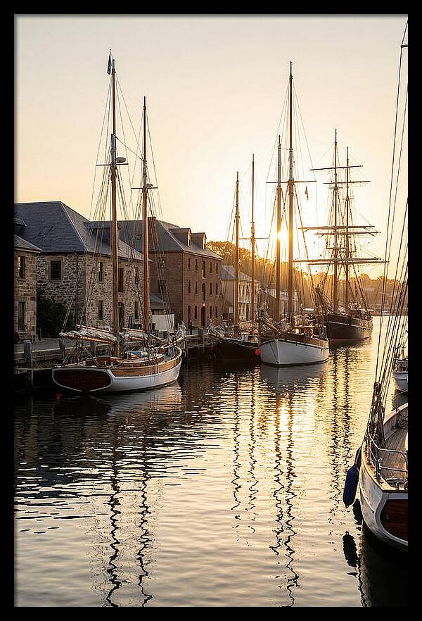 Annapolis Harbor Tranquility