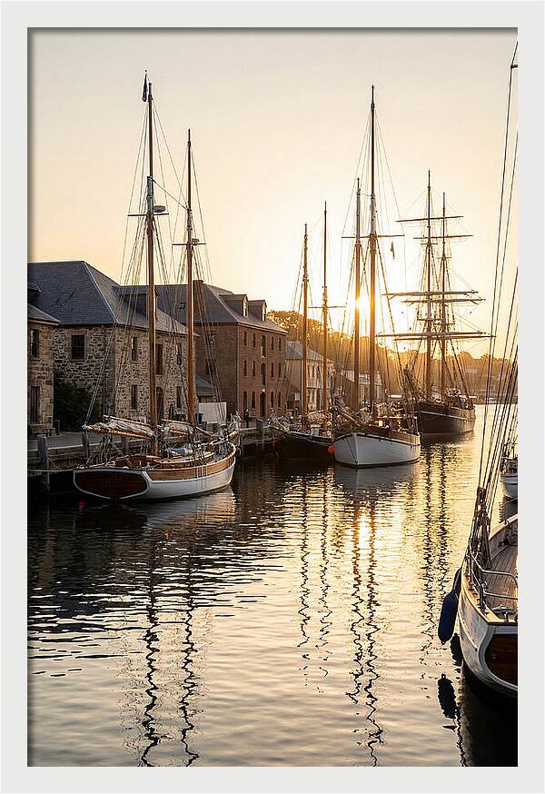 Annapolis Harbor Tranquility