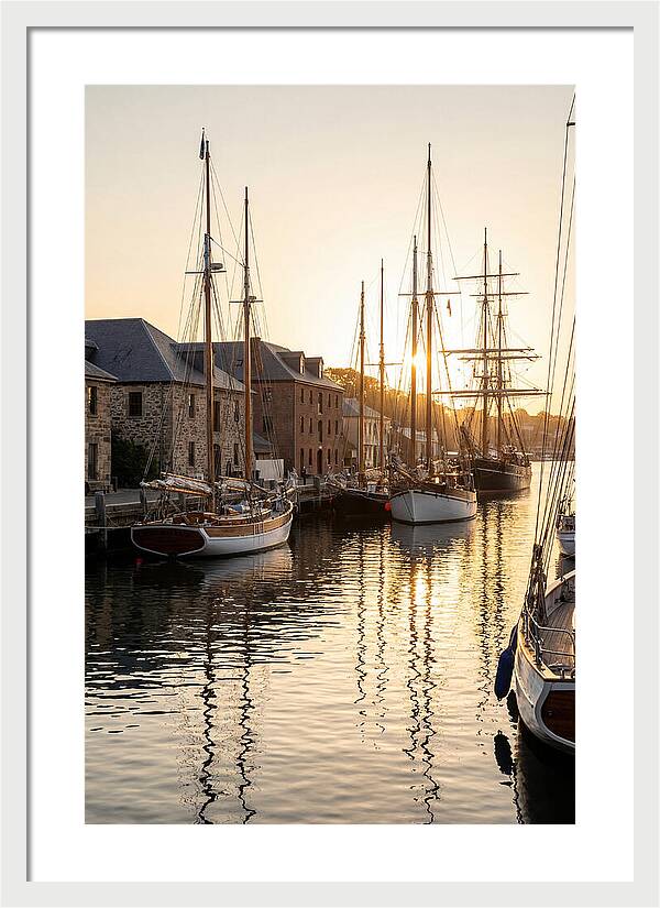 Annapolis Harbor Tranquility
