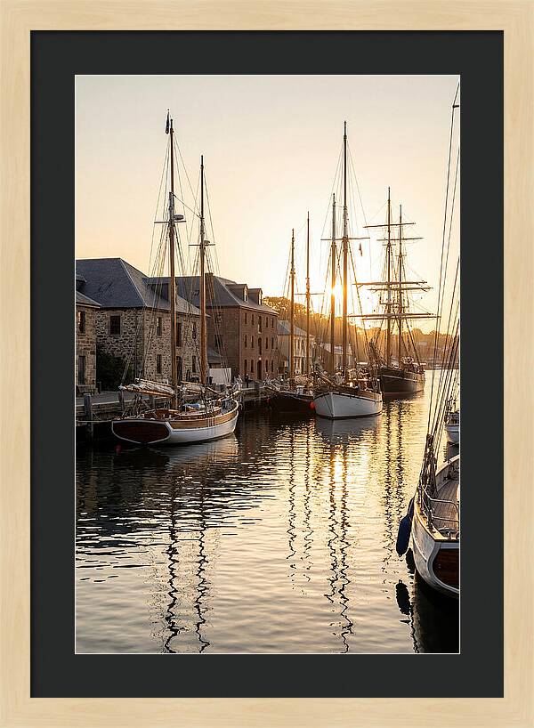 Annapolis Harbor Tranquility