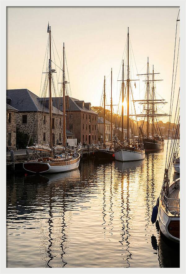Annapolis Harbor Tranquility
