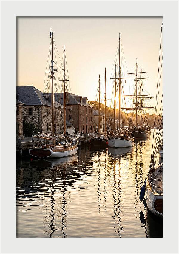 Annapolis Harbor Tranquility