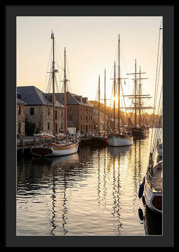 Annapolis Harbor Tranquility