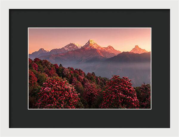 Annapurna Massif At Sunrise