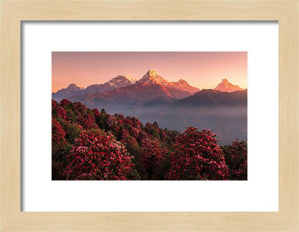 Annapurna Massif At Sunrise