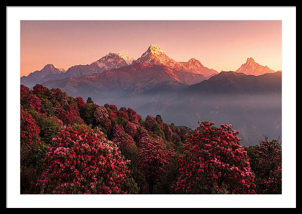 Annapurna Massif At Sunrise