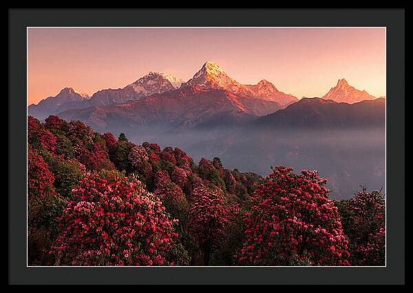 Annapurna Massif At Sunrise