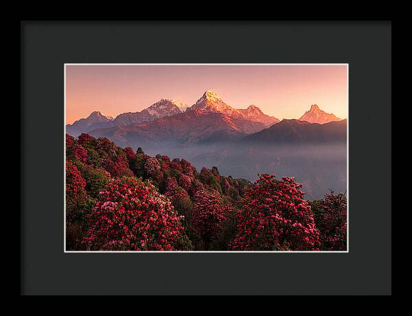 Annapurna Massif At Sunrise