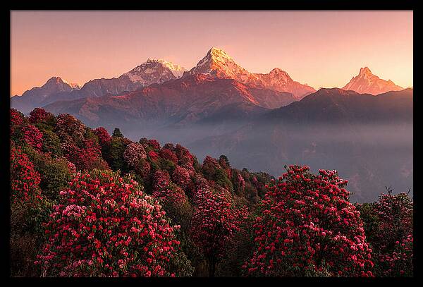 Annapurna Massif At Sunrise