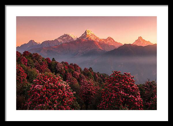 Annapurna Massif At Sunrise