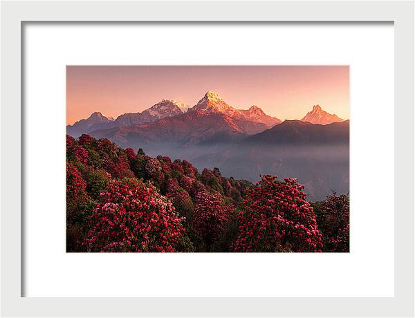 Annapurna Massif At Sunrise