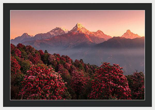 Annapurna Massif At Sunrise