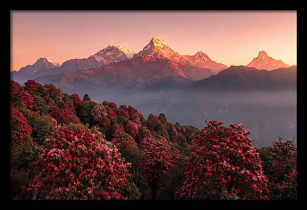 Annapurna Massif At Sunrise