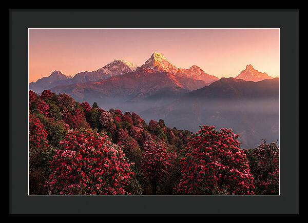 Annapurna Massif At Sunrise
