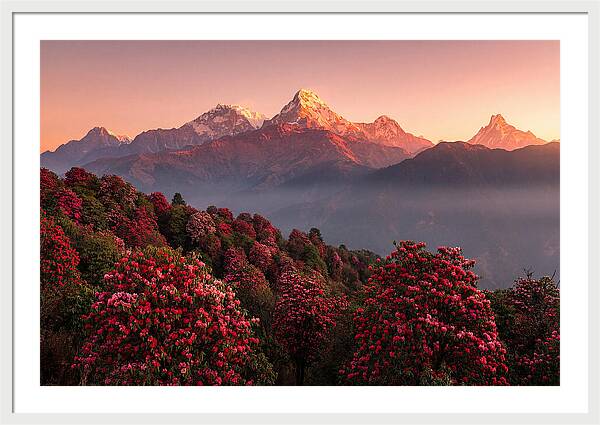 Annapurna Massif At Sunrise