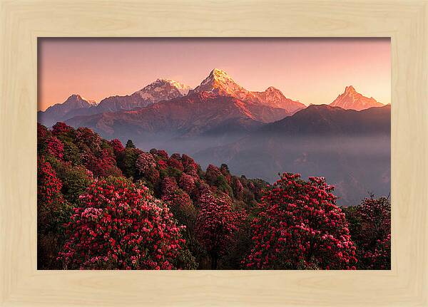 Annapurna Massif At Sunrise
