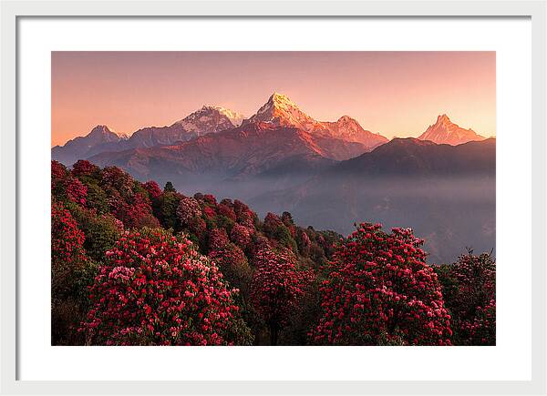 Annapurna Massif At Sunrise